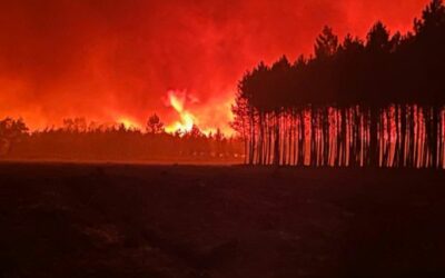 Incendies en Gironde : l’interprofession Fibois Landes de Gascogne salue la mobilisation collective et prépare l’avenir