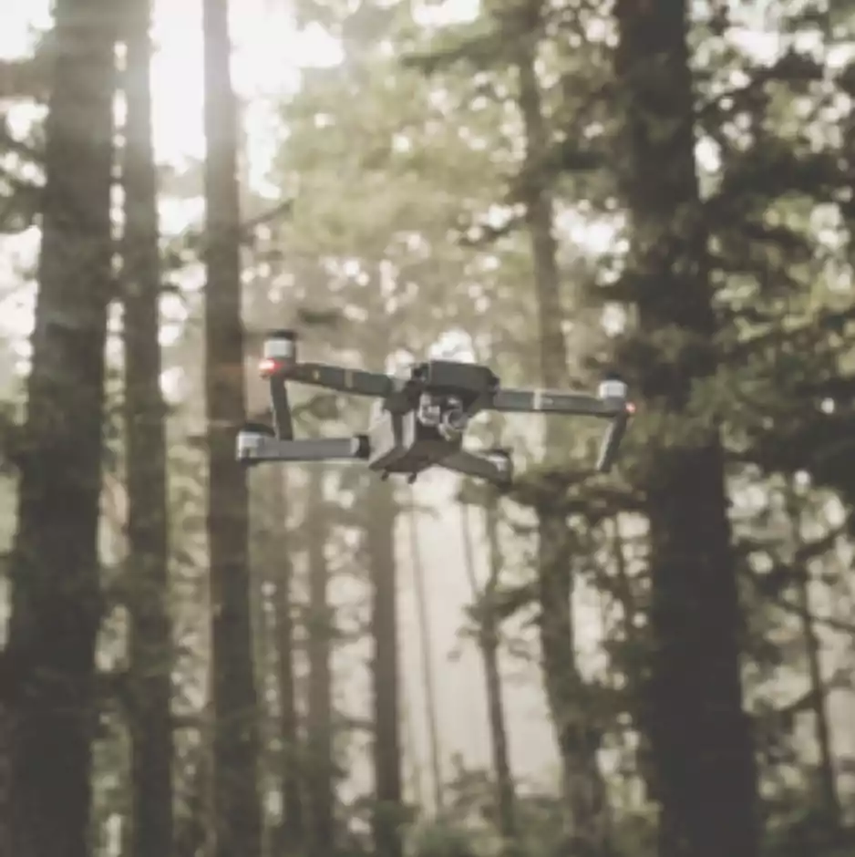 drone en forêt