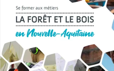 Découvrez le catalogue des métiers et formations associées en Nouvelle Aquitaine