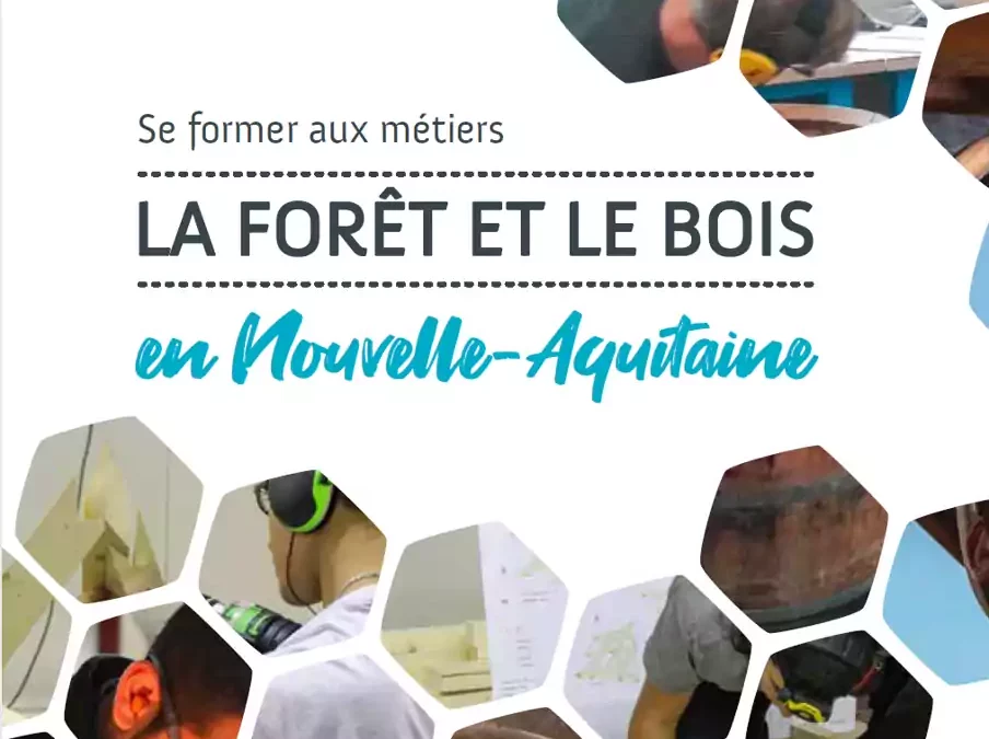 Découvrez le catalogue des métiers et formations associées en Nouvelle Aquitaine