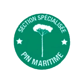section pin maritime
