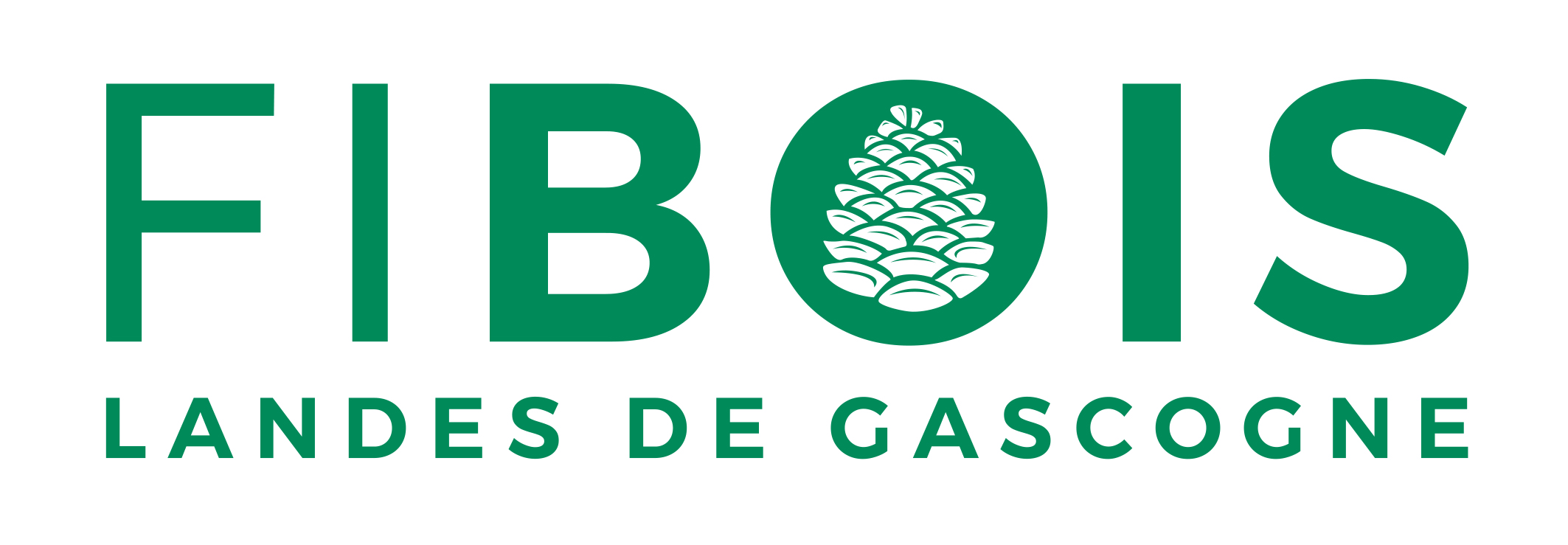 LOGO FIBOIS CMJN Logo Fibois LdG