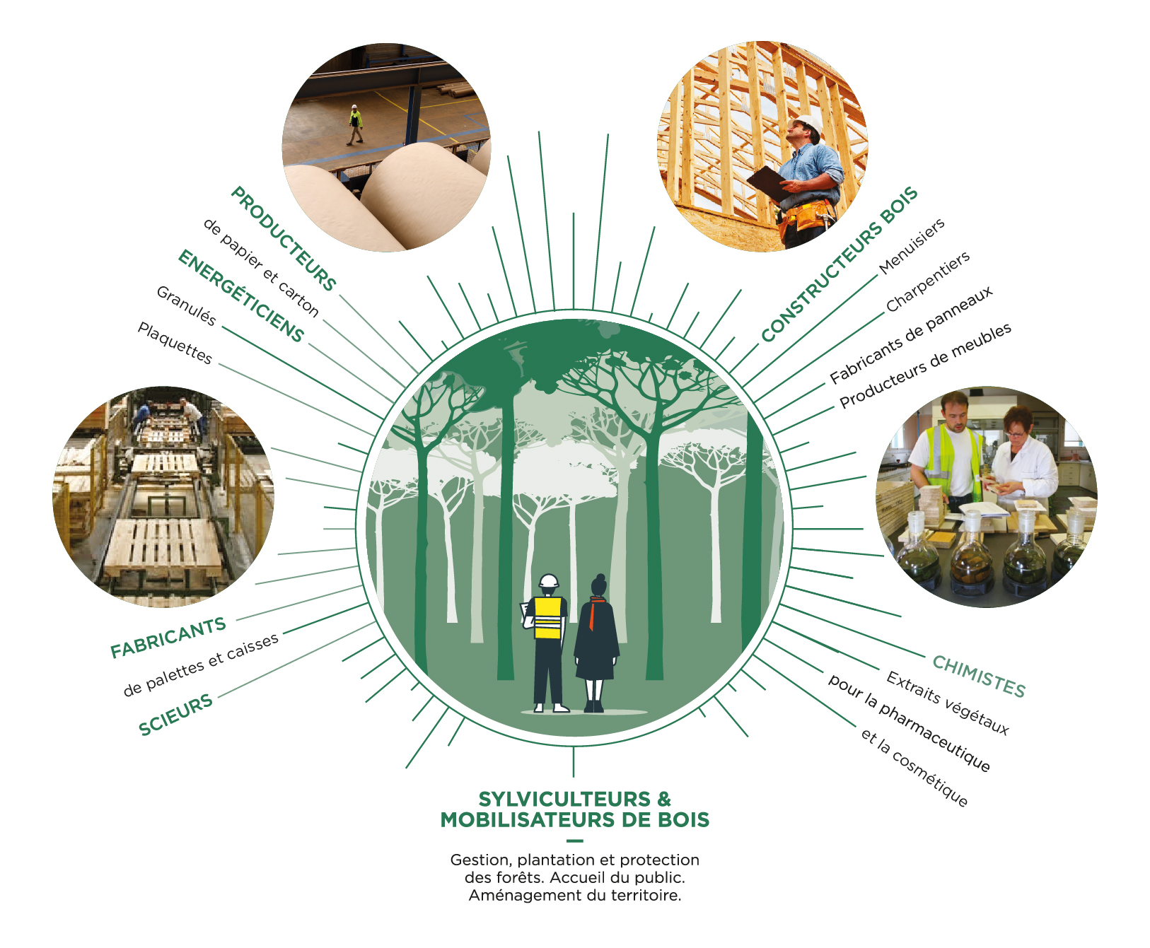 visuel sylviculteurs